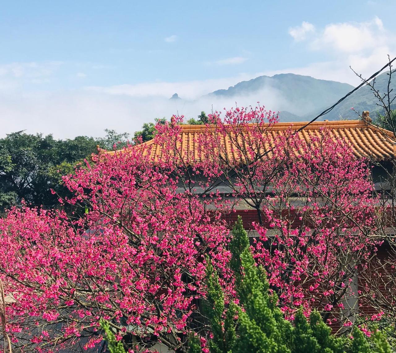 A-Home Cửu Phần Ngoại thất bức ảnh
